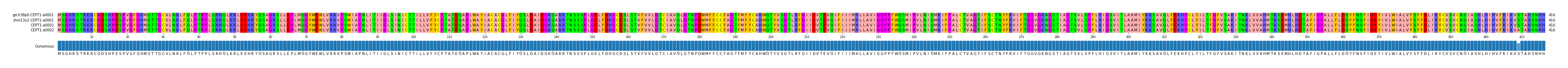 Multiple Alignments (by translate haplotype similarity)
