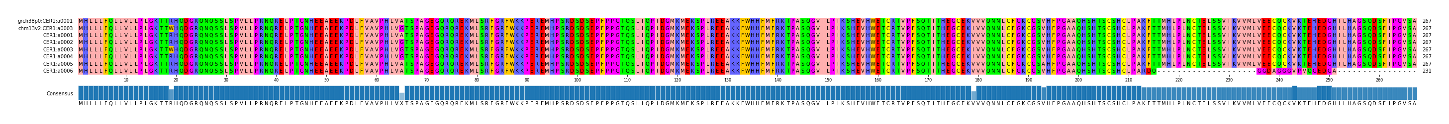 Multiple Alignments (by translate haplotype frequency)
