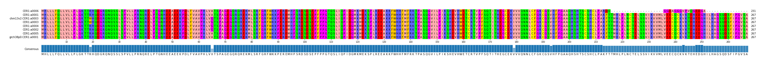 Multiple Alignments (by translate haplotype similarity)