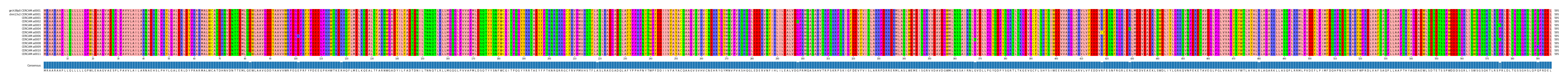 Multiple Alignments (by translate haplotype frequency)