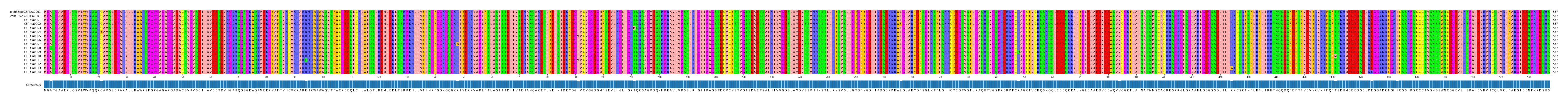 Multiple Alignments (by translate haplotype frequency)