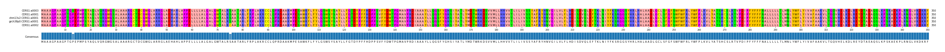 Multiple Alignments (by translate haplotype similarity)