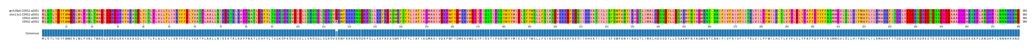 Multiple Alignments (by translate haplotype similarity)