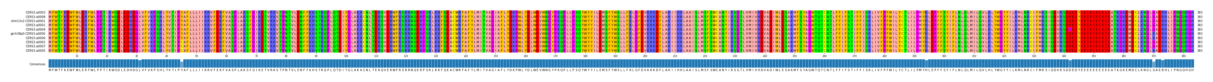 Multiple Alignments (by translate haplotype similarity)