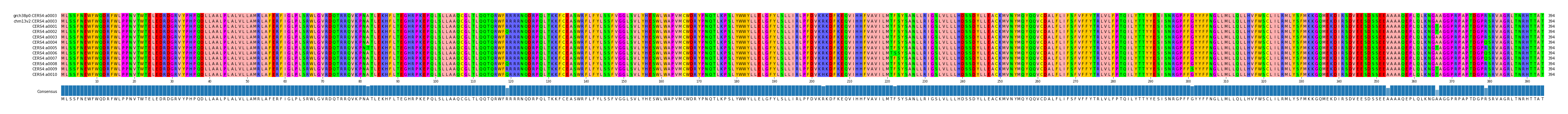 Multiple Alignments (by translate haplotype frequency)