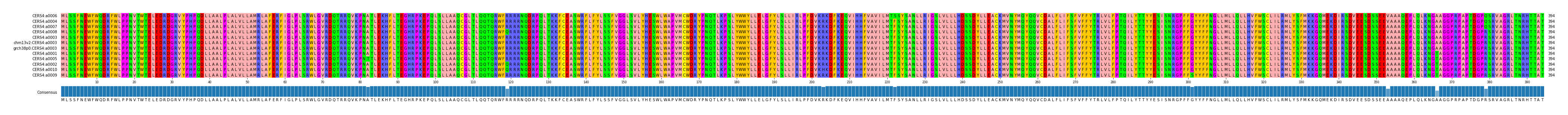 Multiple Alignments (by translate haplotype similarity)