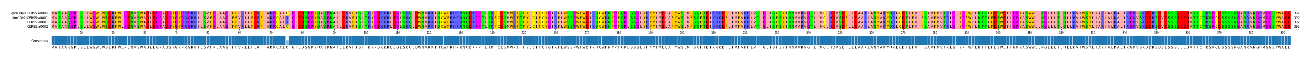 Multiple Alignments (by translate haplotype frequency)