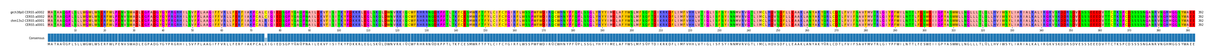 Multiple Alignments (by translate haplotype similarity)
