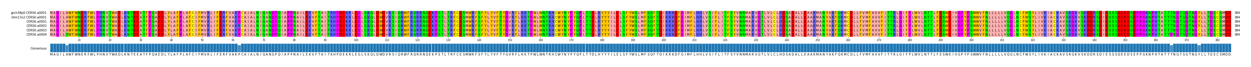 Multiple Alignments (by translate haplotype frequency)