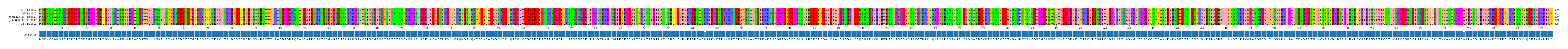 Multiple Alignments (by translate haplotype similarity)