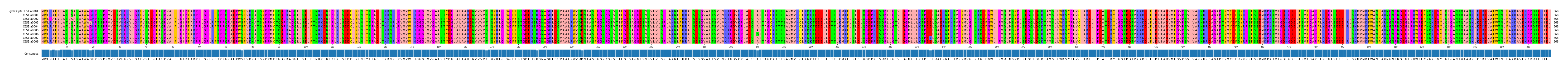 Multiple Alignments (by translate haplotype frequency)