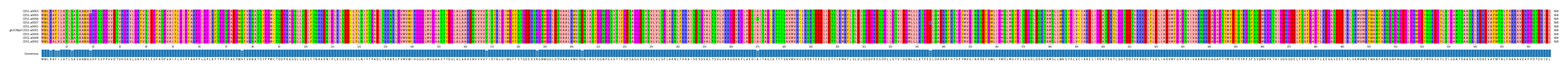 Multiple Alignments (by translate haplotype similarity)