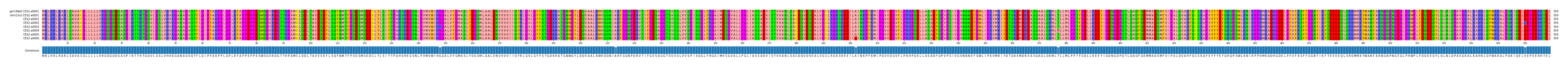 Multiple Alignments (by translate haplotype frequency)