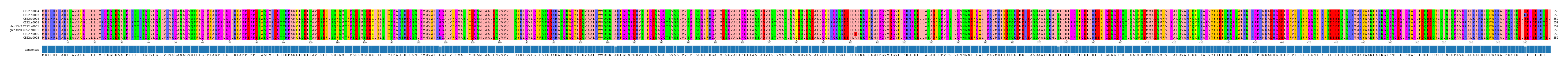 Multiple Alignments (by translate haplotype similarity)