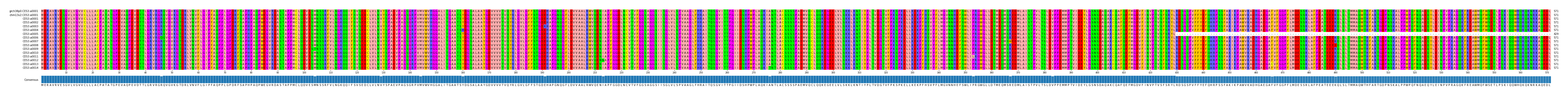 Multiple Alignments (by translate haplotype frequency)