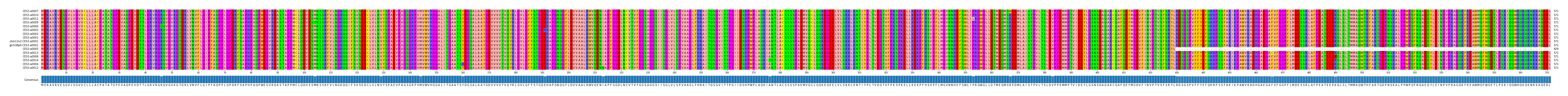 Multiple Alignments (by translate haplotype similarity)