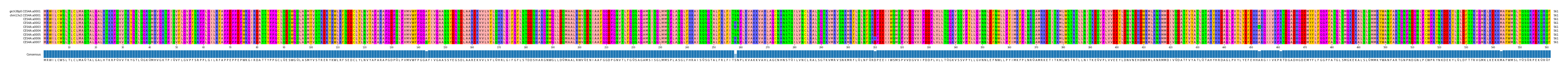 Multiple Alignments (by translate haplotype frequency)