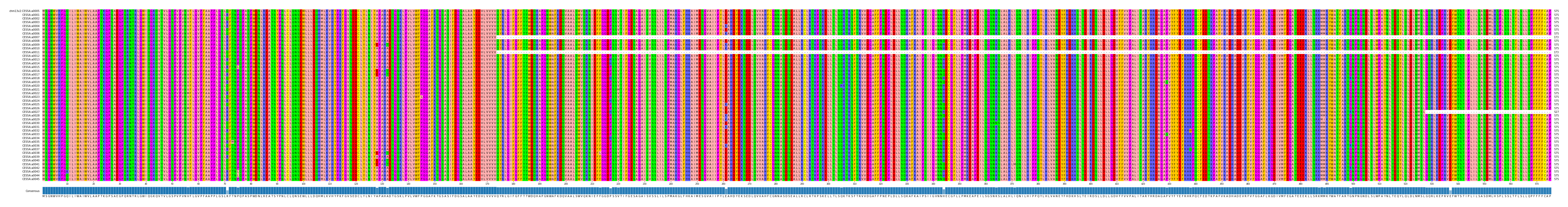 Multiple Alignments (by translate haplotype frequency)