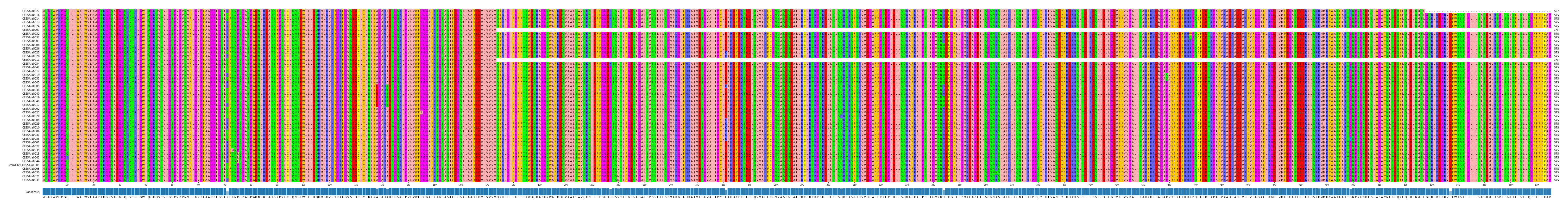 Multiple Alignments (by translate haplotype similarity)