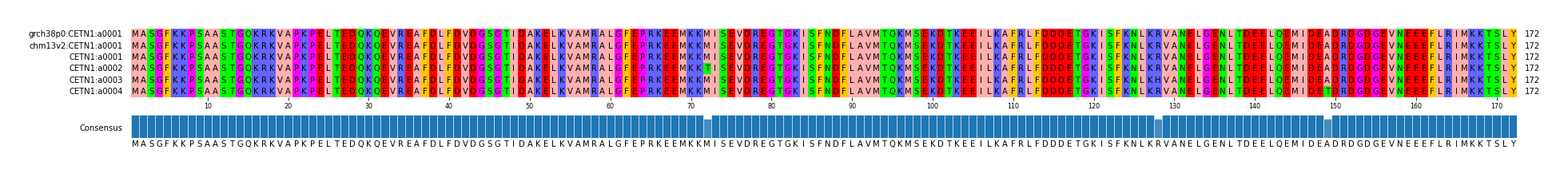 Multiple Alignments (by translate haplotype frequency)