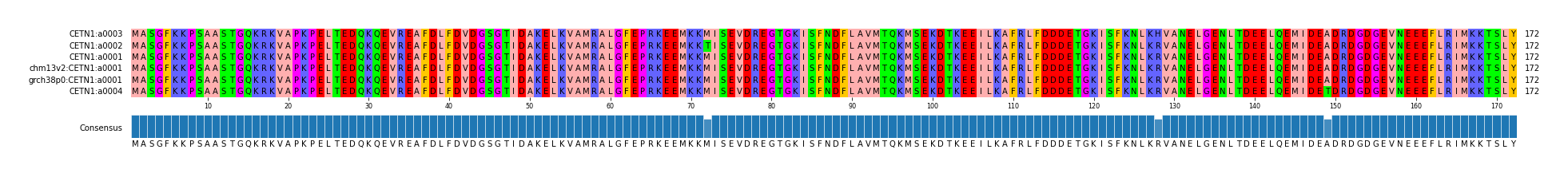 Multiple Alignments (by translate haplotype similarity)