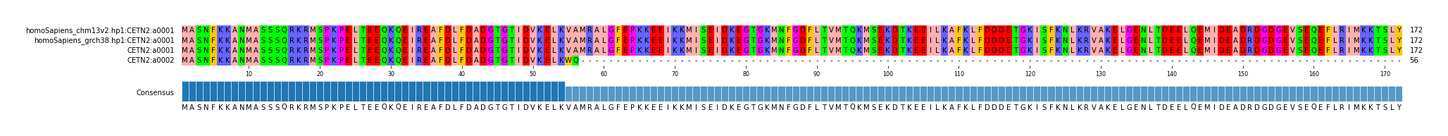 Multiple Alignments (by translate haplotype similarity)