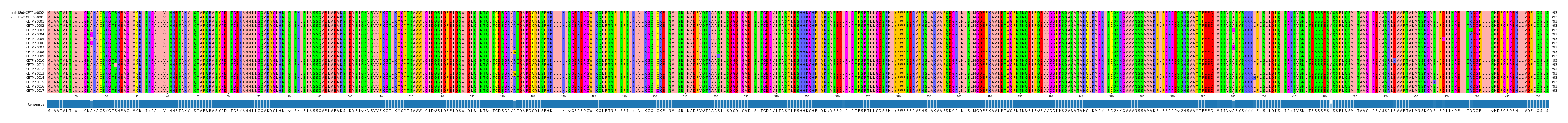 Multiple Alignments (by translate haplotype frequency)