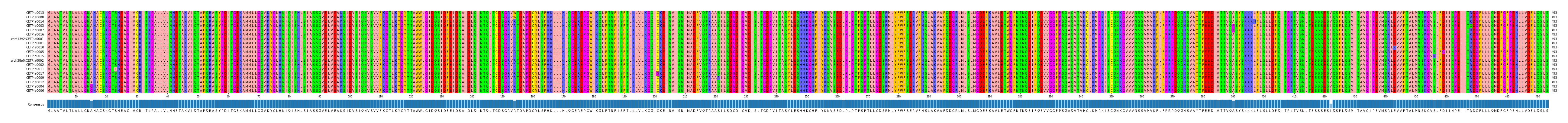 Multiple Alignments (by translate haplotype similarity)