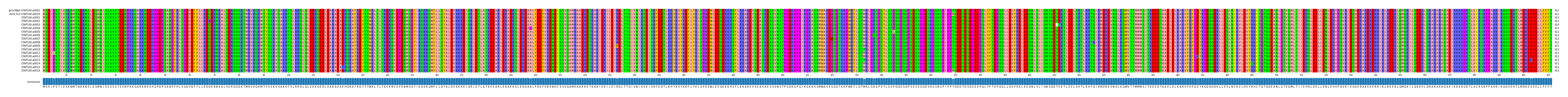 Multiple Alignments (by translate haplotype frequency)