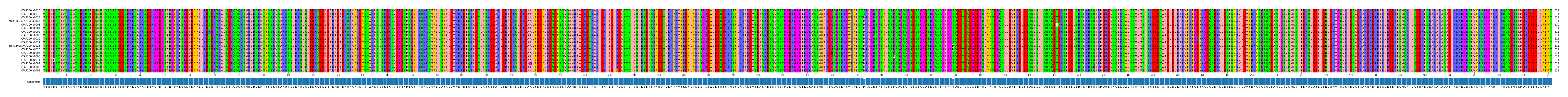 Multiple Alignments (by translate haplotype similarity)
