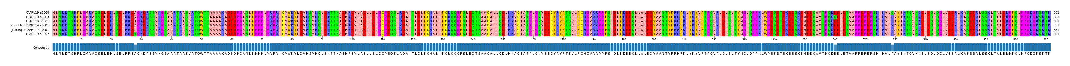 Multiple Alignments (by translate haplotype similarity)