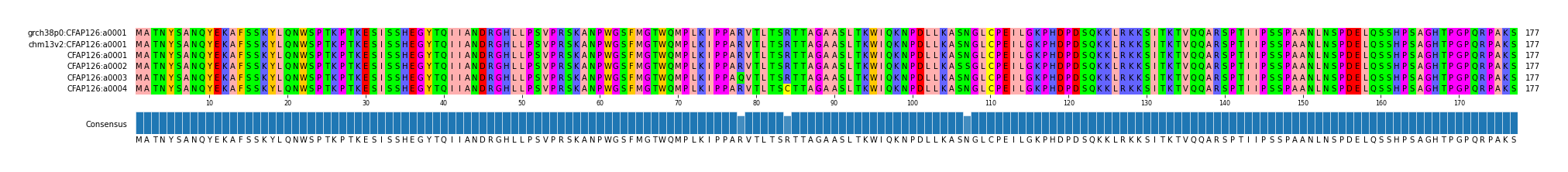 Multiple Alignments (by translate haplotype frequency)