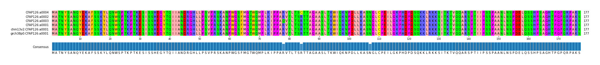 Multiple Alignments (by translate haplotype similarity)