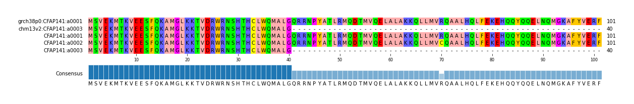 Multiple Alignments (by translate haplotype frequency)