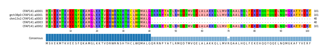 Multiple Alignments (by translate haplotype similarity)