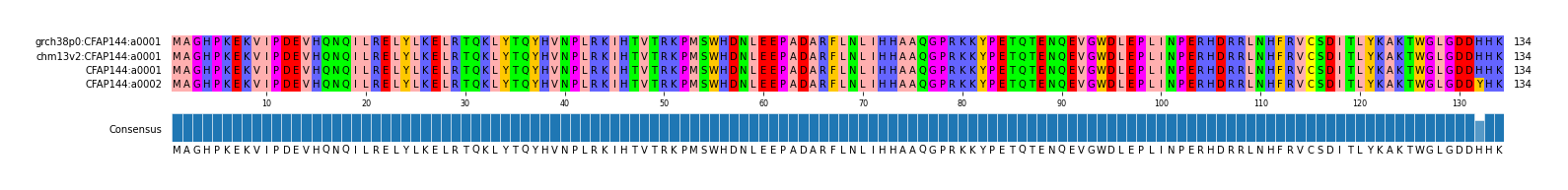 Multiple Alignments (by translate haplotype similarity)