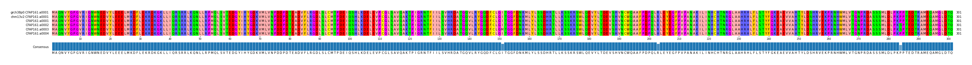Multiple Alignments (by translate haplotype frequency)