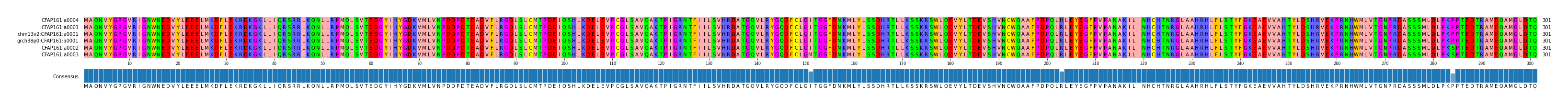 Multiple Alignments (by translate haplotype similarity)
