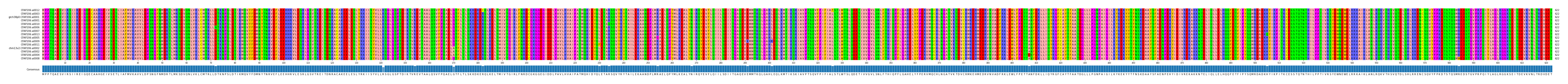 Multiple Alignments (by translate haplotype similarity)