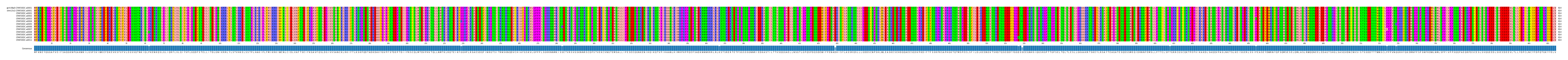 Multiple Alignments (by translate haplotype frequency)