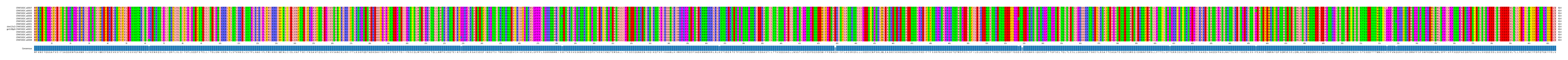 Multiple Alignments (by translate haplotype similarity)