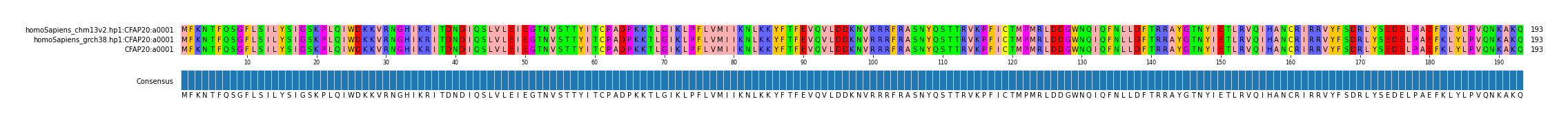 Multiple Alignments (by translate haplotype similarity)