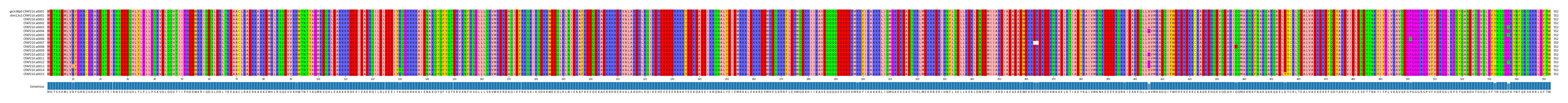 Multiple Alignments (by translate haplotype frequency)