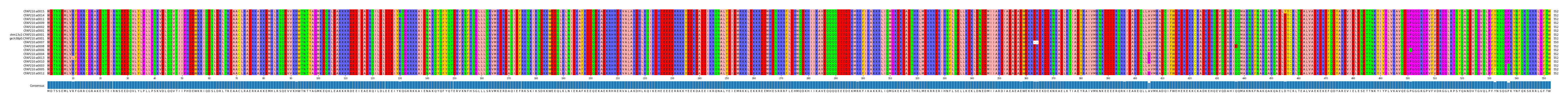 Multiple Alignments (by translate haplotype similarity)
