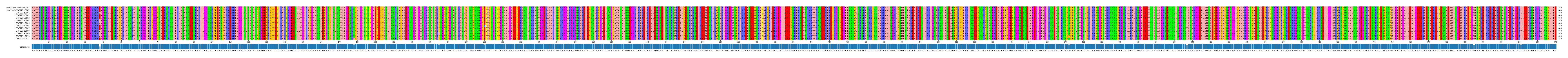 Multiple Alignments (by translate haplotype frequency)