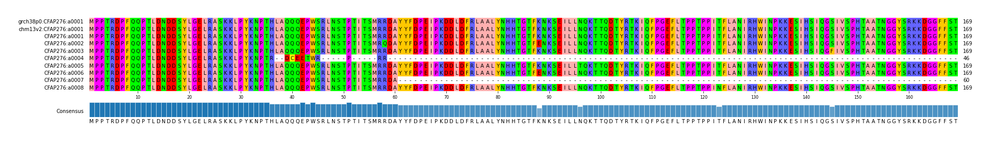 Multiple Alignments (by translate haplotype frequency)