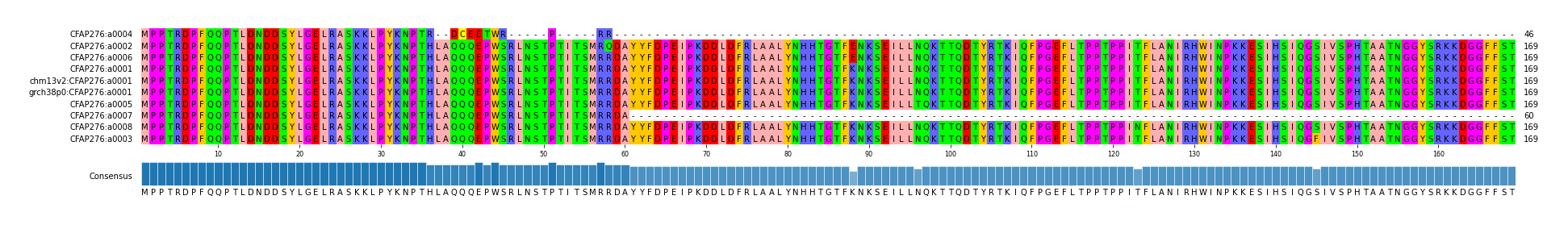 Multiple Alignments (by translate haplotype similarity)