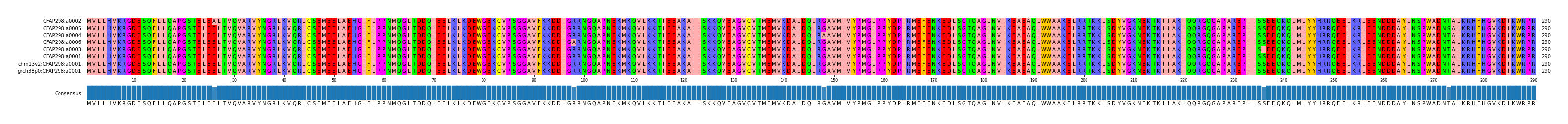 Multiple Alignments (by translate haplotype similarity)
