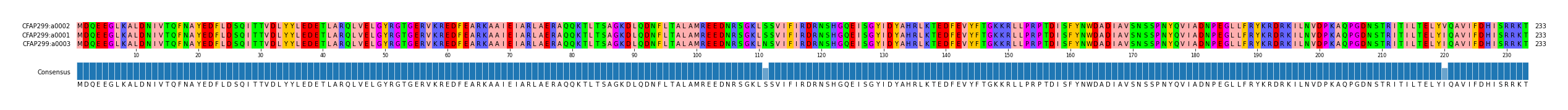 Multiple Alignments (by translate haplotype similarity)