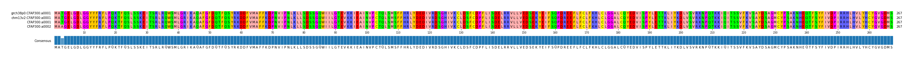 Multiple Alignments (by translate haplotype similarity)